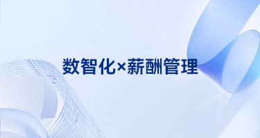 数智化×薪酬管理：北大软件P8DHR国企人力资源数智化管理平台为薪酬管理工作提质增效