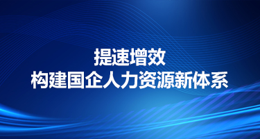 提速增效，构建国企人力资源新体系推动新质生产力发展