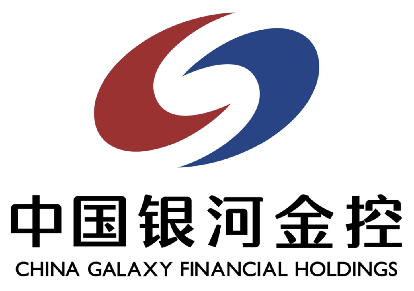 中国银河金融控股有限责任公司人力资源系统项目