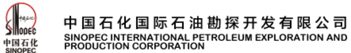 中国石化集团国际石油勘探开发有限公司人力资源系统项目