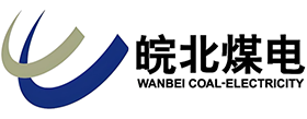 安徽省皖北煤电集团有限责任公司人力资源（干部）管理平台