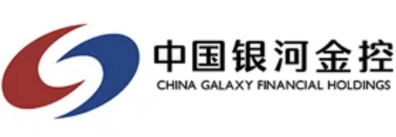 中国银河金融控股有限责任公司人力资源系统项目