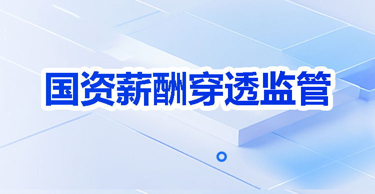 2026国资薪酬穿透监管 2.0 全面开启｜北大软件：以数字化筑牢国企薪酬监管防线